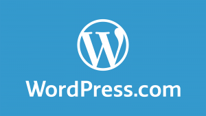 seo-experts-pk-wordpress2